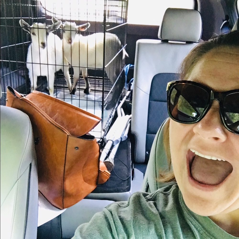 Meet your Posher, Miranda
